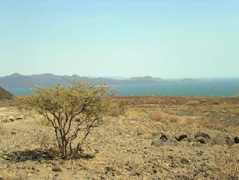 Lago Turkana