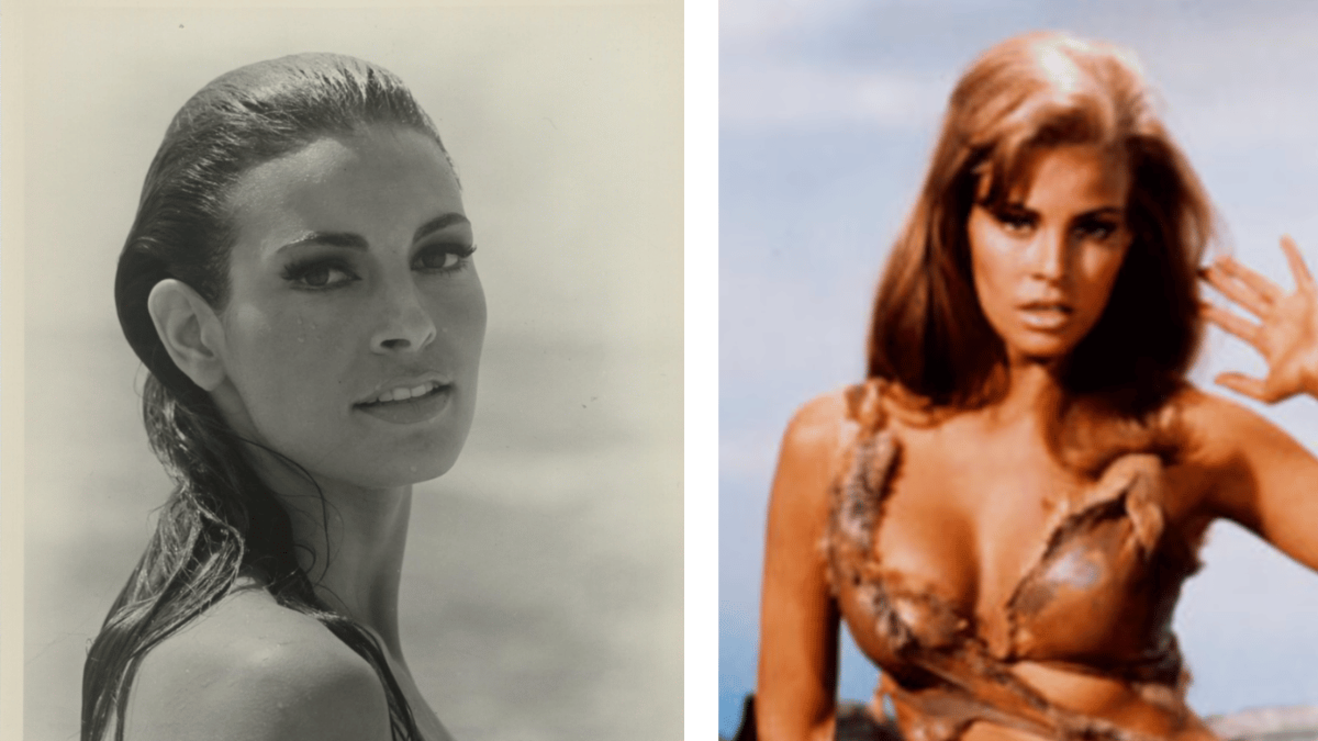 Raquel Welch