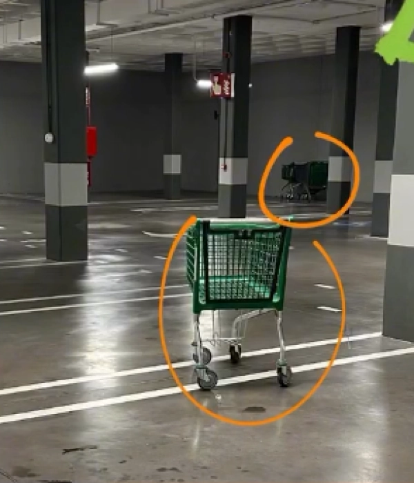 La psicóloga compartió en sus redes sociales la imagen de un carro de mercado en un parqueadero.