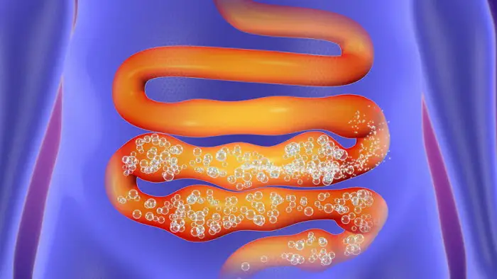 Gases intestinales