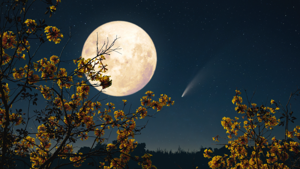 Luna llena de octubre 2025 cómo potenciar su energía con las Dracónidas de acuerdo a tu signo zodiacal.png